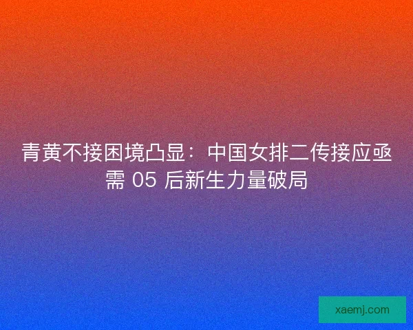 青黄不接困境凸显：中国女排二传接应亟需 05 后新生力量破局
