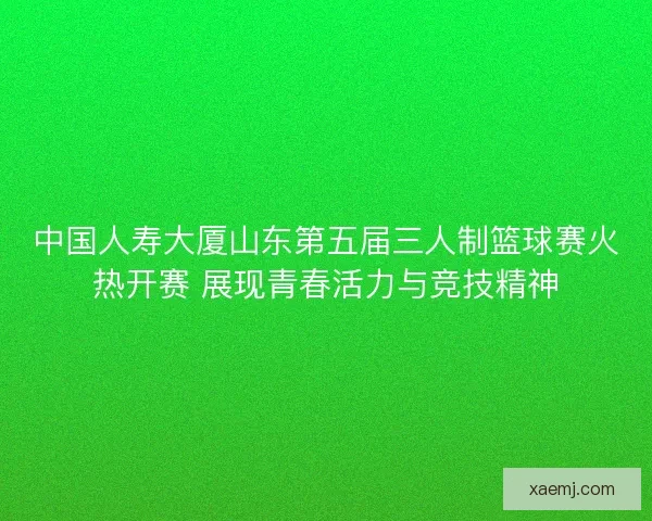 中国人寿大厦山东第五届三人制篮球赛火热开赛 展现青春活力与竞技精神 中国人寿大厦山东第五届三人制篮球赛火热开赛 展现青春活力与竞技精神