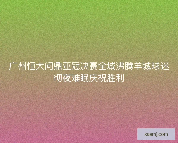 广州恒大问鼎亚冠决赛全城沸腾羊城球迷彻夜难眠庆祝胜利